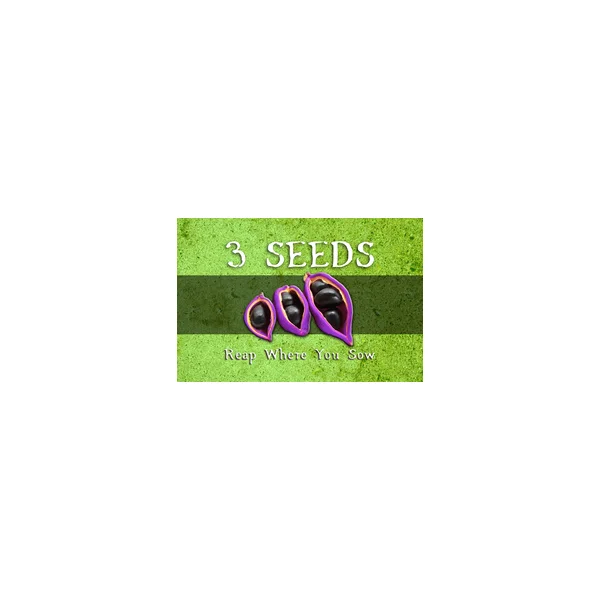 3 Seeds: Reap Where You Sow