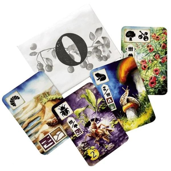 Meadow: Envelope O