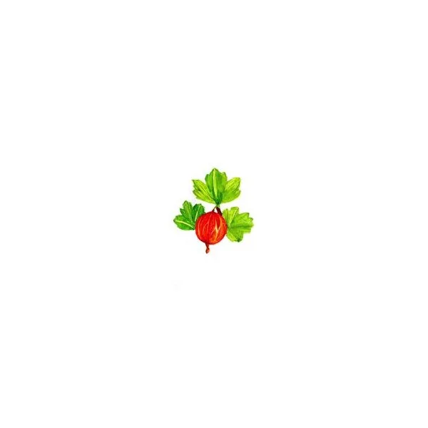 Gooseberry