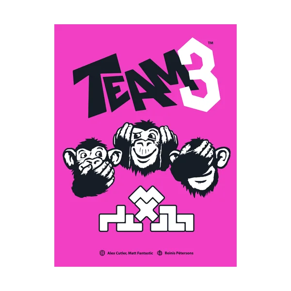 TEAM3
