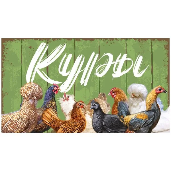 Куры