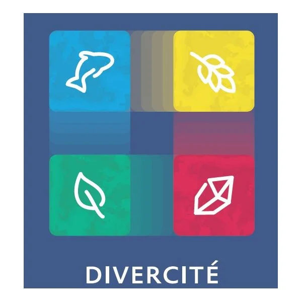 Divercité