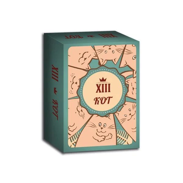 XIII кот